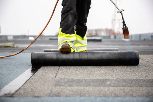 Best Roof Coating and Sealing  in Bayonet Point, FL